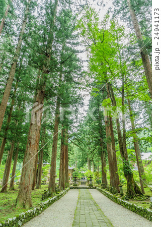 夏の雲洞庵の風景 24941173