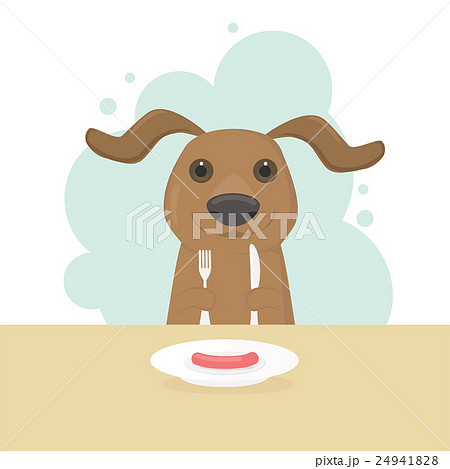 Cute dog dachshund sitting behind a table 24941828