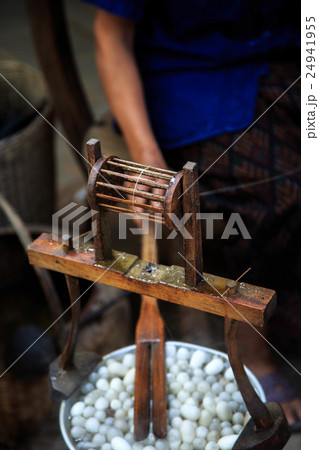 spinning silk form cocoon 24941955