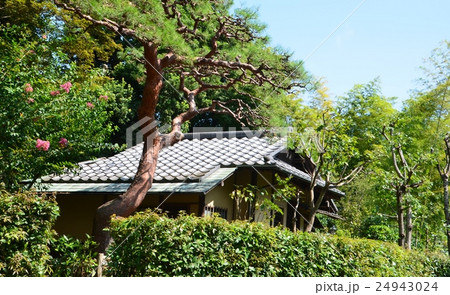 池上本門寺の松濤園 24943024