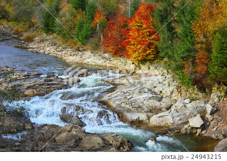 Autumn creek woods with colorfull trees foliage 24943215