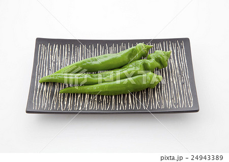 万願寺唐辛子角皿のせ 24943389