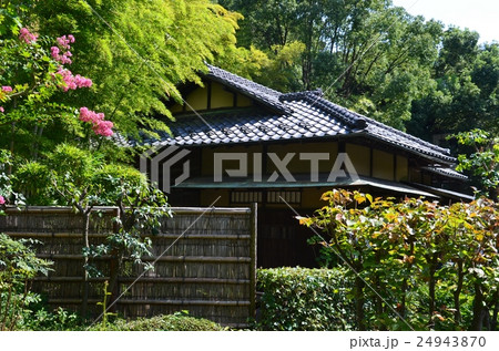 池上本門寺「松濤園」 池上本門寺「松濤園」 24943870
