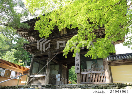 京都　高雄　神護寺 24943962