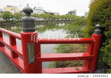 小田原城址公園　まなびばし 24944001