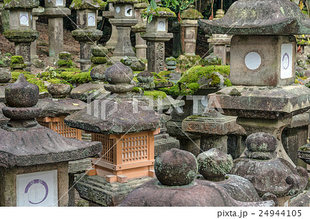 春日大社の境内風景 24944105