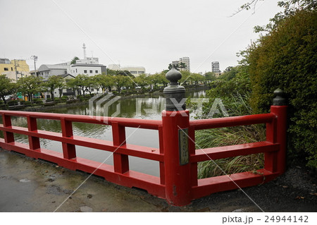 小田原城址公園 まなびばし 小田原城址公園 まなびばし 24944142