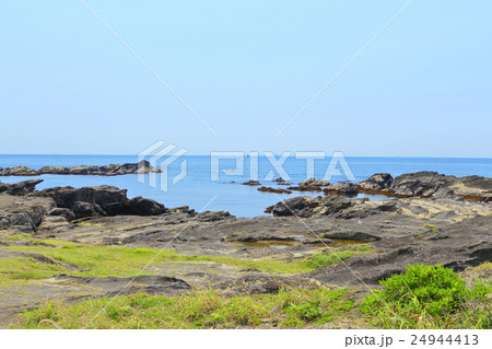 城ヶ島海岸 【神奈川県 三浦半島】 24944413