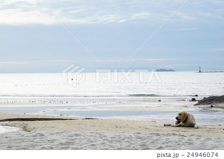 タイ王国サメット島の朝(Morning View of Samet Island) タイ王国サメット島の朝(Morning View of Samet Island) 24946074