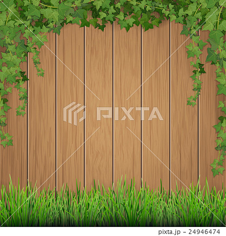 Grass and hanging ivy on wooden background. Grass and hanging ivy on wooden background. 24946474
