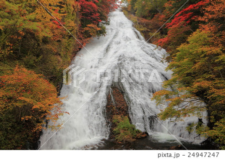 錦秋の湯滝　紅葉　 24947247