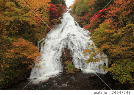 錦秋の湯滝 紅葉 錦秋の湯滝 紅葉 24947248
