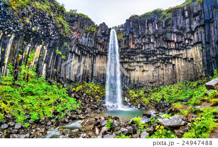 View of Svartifoss meaning Black Falls, Iceland 24947488