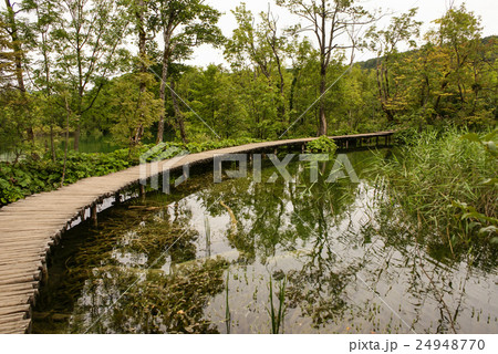 Deep forest stream. Crystal clear water. Deep forest stream. Crystal clear water. 24948770