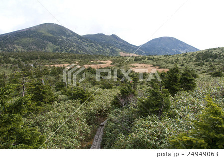 八甲田 八甲田 24949063