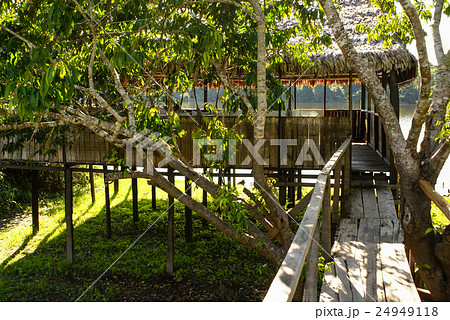 Peru, Peruvian Amazonas landscape. 24949118