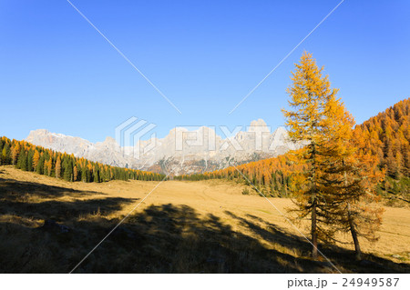 Autumn panorama from Italian Alps 24949587