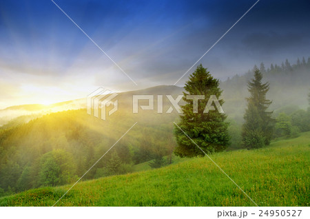 Landscape with fog in mountains Landscape with fog in mountains 24950527