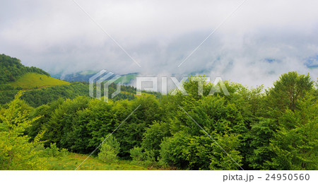 Landscape with fog in mountains Landscape with fog in mountains 24950560
