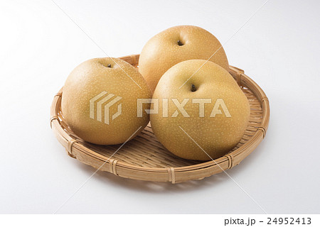 笊に盛った梨 笊に盛った梨 24952413