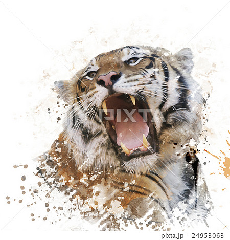Tiger Portrait Watercolorのイラスト素材