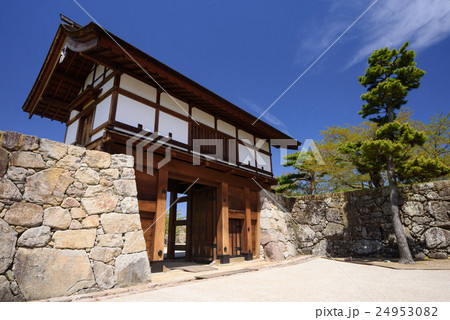 松代城跡 松代城跡 24953082