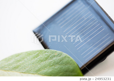 close up of solar battery or cell 24953231