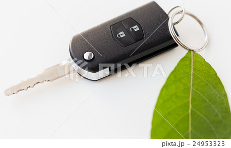 close up of car key and green leaf close up of car key and green leaf 24953323