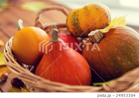 close up of pumpkins in basket on wooden table close up of pumpkins in basket on wooden table 24953384