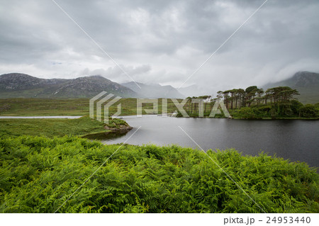 view to island in lake or river at ireland 24953440