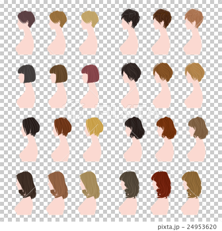 Hair style / Female / Variation Hair style / Female / Variation 24953620