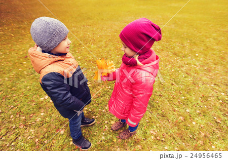 little boy giving autumn maple leaves to girl little boy giving autumn maple leaves to girl 24956465
