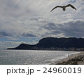 函館山の見える風景２ 24960019