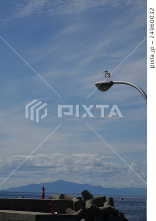 灯台の見える風景 24960032