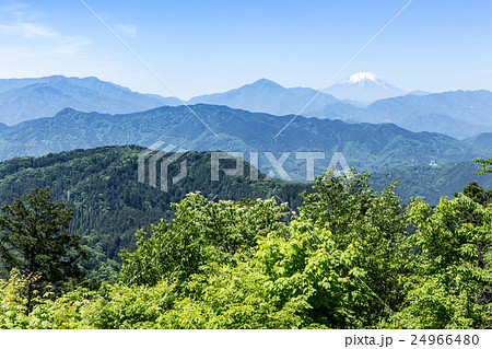高尾山・山頂・大見晴台からの富士山 24966480