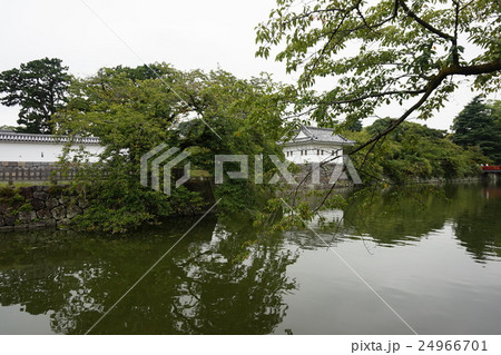 小田原城址公園　ニの丸隅櫓（にのまるすみやぐら） 24966701