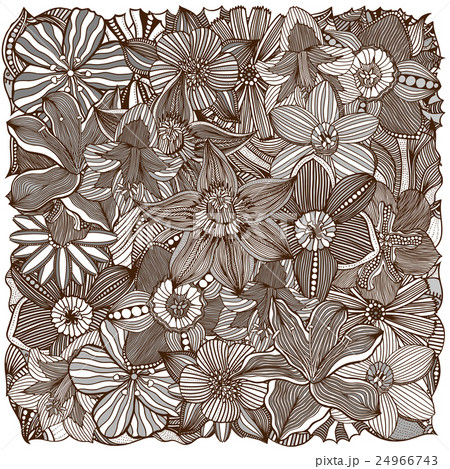 floral zentangle vector illustration floral zentangle vector illustration 24966743