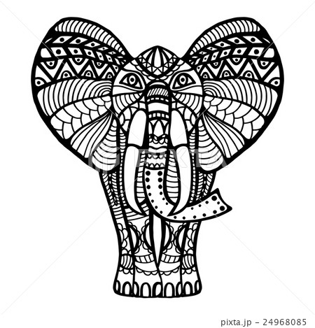 Elephant. 24968085
