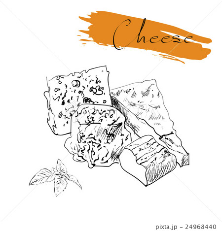 Cheese types. Delicious fresh cheese variet cheese Cheese types. Delicious fresh cheese variet cheese 24968440