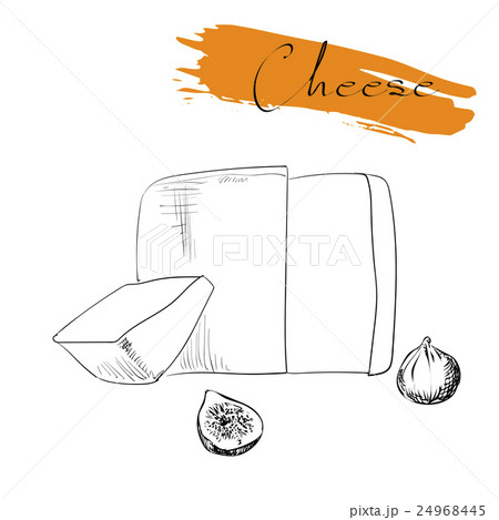 Cheese types. Delicious fresh cheese variet cheese Cheese types. Delicious fresh cheese variet cheese 24968445