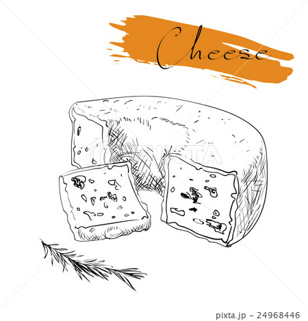 Cheese types. Delicious fresh cheese variet cheese Cheese types. Delicious fresh cheese variet cheese 24968446