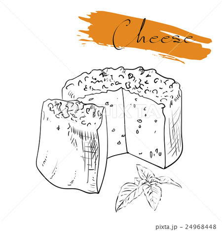Cheese types. Delicious fresh cheese variet cheese Cheese types. Delicious fresh cheese variet cheese 24968448
