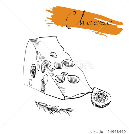 Cheese types. Delicious fresh cheese variet cheese Cheese types. Delicious fresh cheese variet cheese 24968449