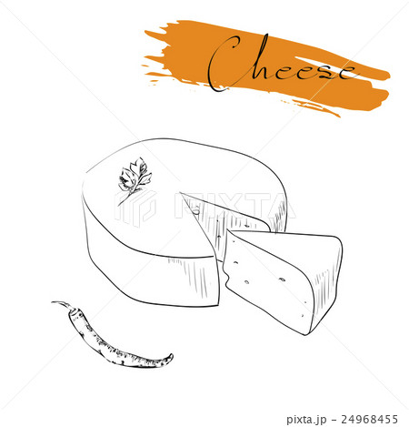 Cheese types. Delicious fresh cheese variet cheese 24968455