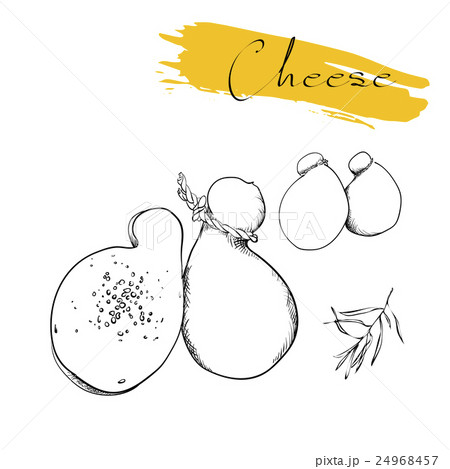 Cheese types. Delicious fresh cheese variet cheese Cheese types. Delicious fresh cheese variet cheese 24968457