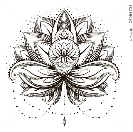 Vector ornamental Lotus 24968753