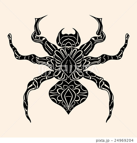 Spider with abstract pattern. 24969204