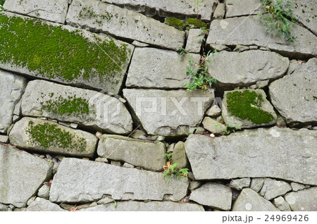 盛岡城の石垣(盛岡城跡公園(岩手公園)/岩手県盛岡市内丸1-37) 盛岡城の石垣(盛岡城跡公園(岩手公園)/岩手県盛岡市内丸1-37) 24969426