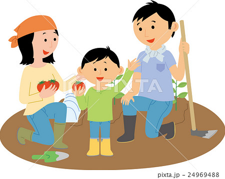 市民農園で野菜を作る家族 24969488