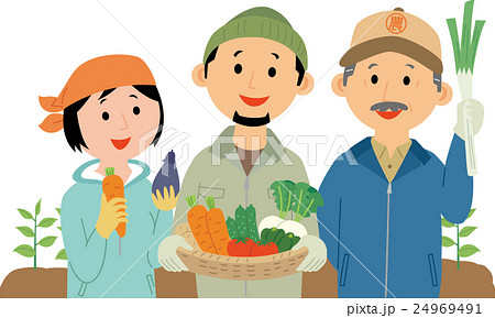 様々な野菜を生産する小規模農園 24969491